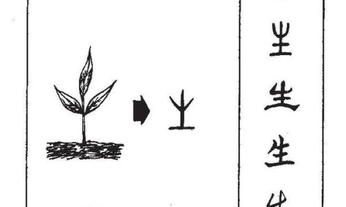 鼻炎灵片多少钱一盒-【鼻炎灵片一旦吃了就不能停吗】鼻炎灵喷雾 - 鼻炎灵片的价格网