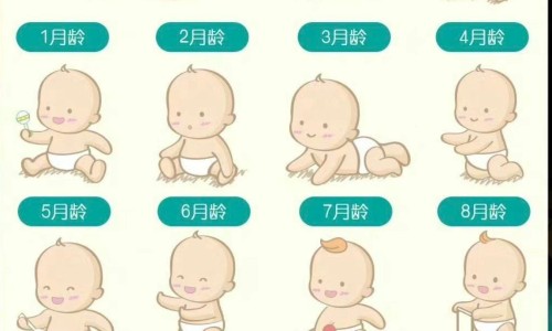 【鼻炎灵片一旦吃了就不能停吗】鼻炎灵喷雾 - 鼻炎灵片的价格网